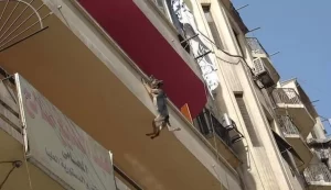Residents in Cairo, Egypt, noticed a German Shepherd dangling