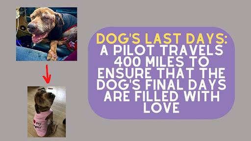 Dog's Last Days: A Pilot Travels 400 Miles To Ensure That The Dog's Final Days Are Filled With Love