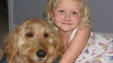 A Young Girl's Dog Is Her Lifeline