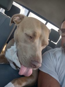 Every day, family dog Monster rides along with her owner Keith on his fishing boat