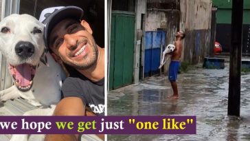 Man Enjoys The Rain While Carrying His Paraplegic Puppy In His Arms