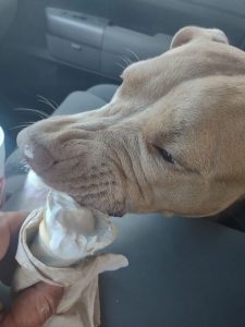 Monster's huge adventure ended with ice cream and burgers on the way home