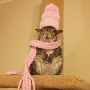 Moreover, a well-known fashion icon