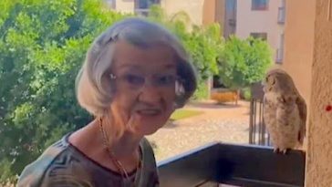 Owl Visits 98 Year old Grandma Every Week and Family Believes it’s a Sign From Her Late Husband.