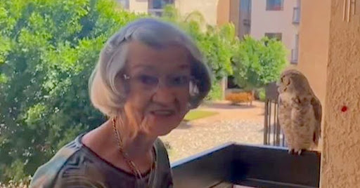 Owl Visits 98 Year old Grandma Every Week and Family Believes it’s a Sign From Her Late Husband.