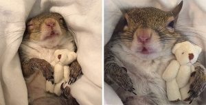 She makes sure the teddy bear is in her little hands when it's time for bed