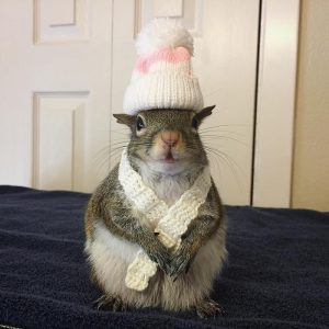 She's a queen!