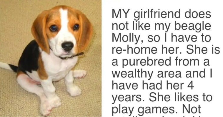 The girlfriend gives an ultimatum