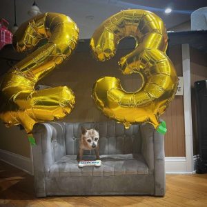 Bully was raised by a devoted family for the first 21 years of his life
