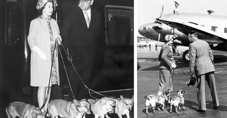 How Queen Elizabeth II Lived With Corgis
