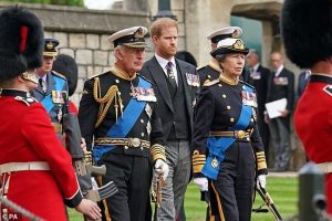 It happens after a fascinating argument over the choice to remove the Queen's initials from Prince Harry's military uniform's