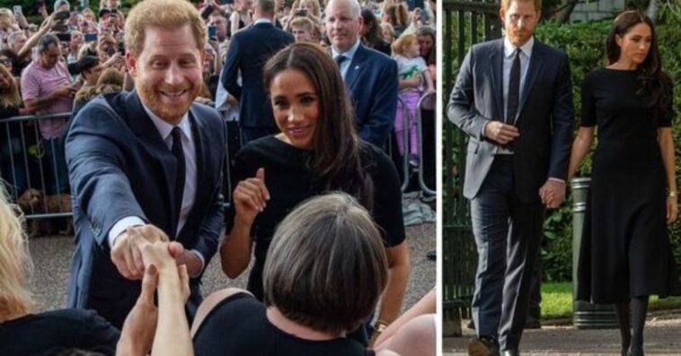 Meghan Markle Expressed Shock At Not Being Paid, Saying She "Didn't Understand The Point Of The Walkabout."