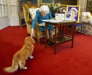 The Queen previously admitted that she wasn't deliberately expanding her family because she "didn't want to leave any little dog behind