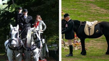Jane Fryer, Queens' Unique Gray Shire Horses Honor The Late Queen
