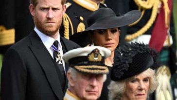 Prince Harry And Meghan Markle Are Concerned That They Could Not Be Part Of The Royal Family