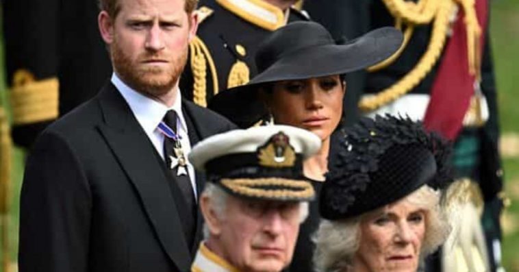 Prince Harry And Meghan Markle Are Concerned That They Could Not Be Part Of The Royal Family