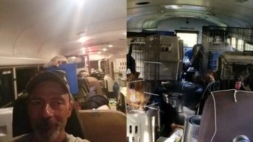 A Bus Is Transformed Into Noah's Ark By A Truck Driver Who Won't Allow Abandoned Animals To Die
