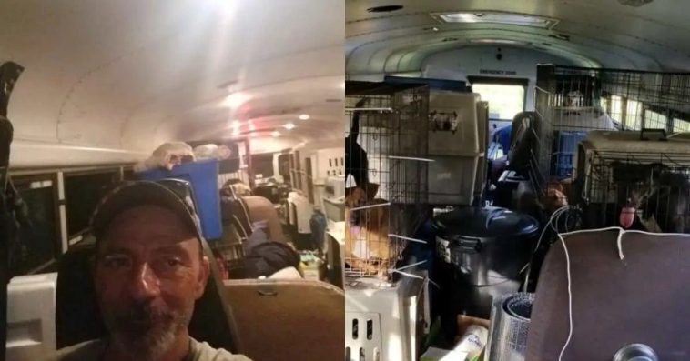 A Bus Is Transformed Into Noah's Ark By A Truck Driver Who Won't Allow Abandoned Animals To Die