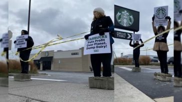 After Encasing Themselves In Concrete, Peta Members Shut Down The Detroit Starbucks