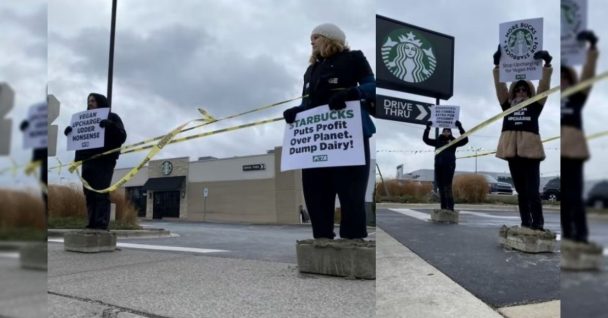 After Encasing Themselves In Concrete, Peta Members Shut Down The Detroit Starbucks