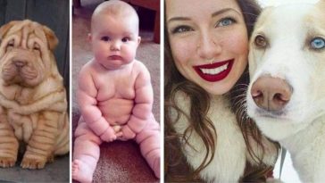 Pictures Of Pets That Look Exactly Like Their Human Companions Are Adorable