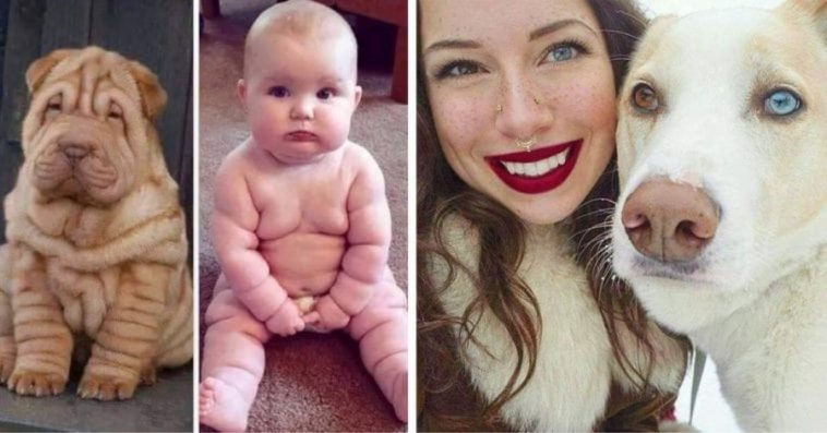 Pictures Of Pets That Look Exactly Like Their Human Companions Are Adorable