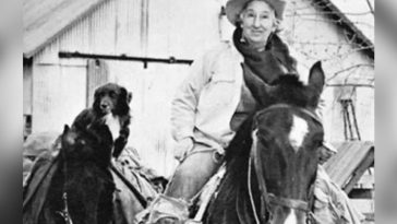 The Amazing Story Of A Terminally Ill 63-Year-Old Woman Who Traveled 7,000 Miles On A Horse Across The Us