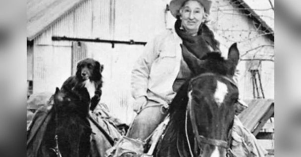 The Amazing Story Of A Terminally Ill 63-Year-Old Woman Who Traveled 7,000 Miles On A Horse Across The Us