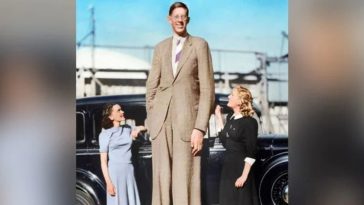 Robert Wadlow - The Tallest Man In Recorded History