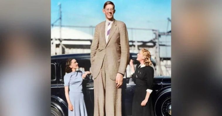 Robert Wadlow - The Tallest Man In Recorded History