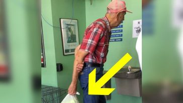 Tears Of Joy: The Unforgettable Moment When An Old Man Unveils His Bag At The Animal Shelter
